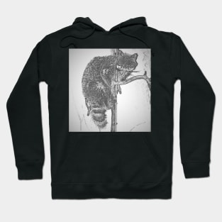 Climbing Racoon Hoodie